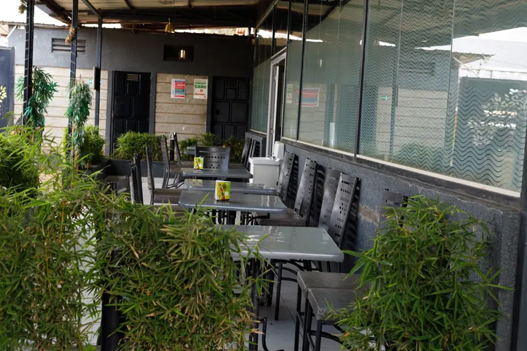 Lounge area with plants